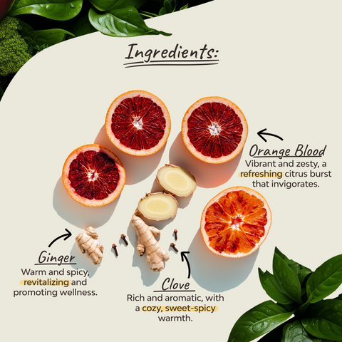 Organic Spicy Blood Orange - 18 Tea Bags