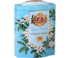 Jasmine Dream